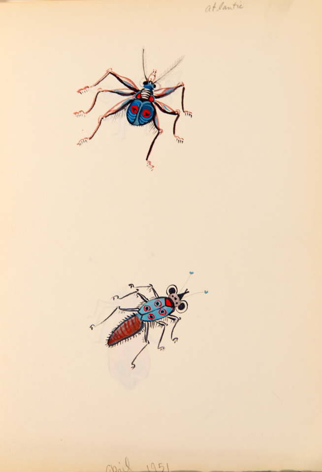 Bugs