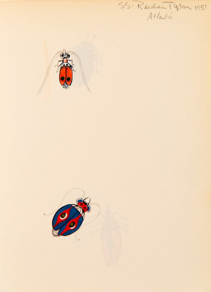 bugs 5 is an original pencil drawing measuring 10 × 8 inches, completed in 1951 by American Expressionist Landscape painter Bud Holman.
