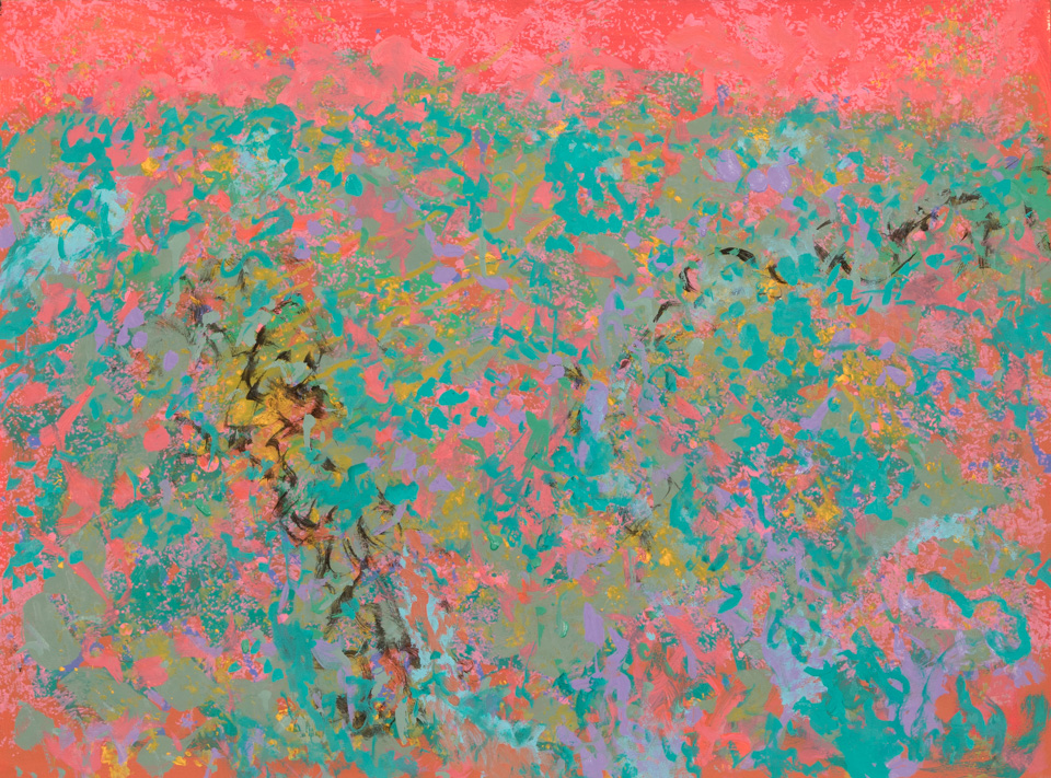 Southern Arizona Landscape #8