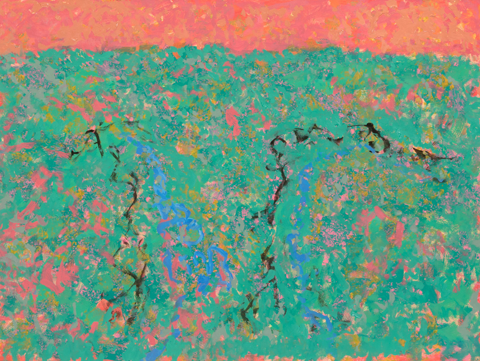 Southern Arizona Landscape #9