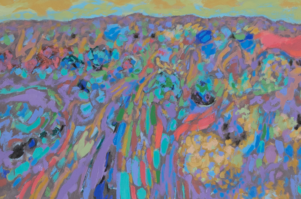 Catalina Spring #8