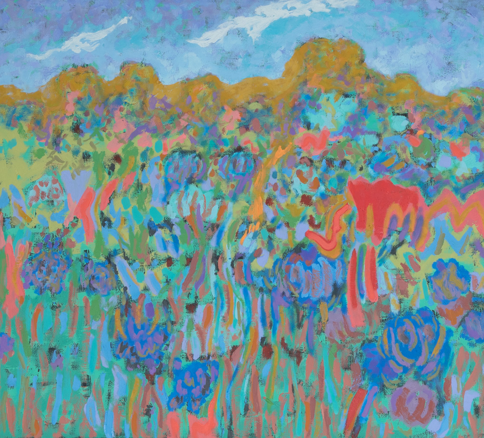 High Sonoran Desert Landscape