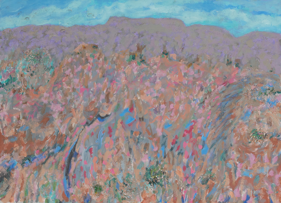 Arizona Desert