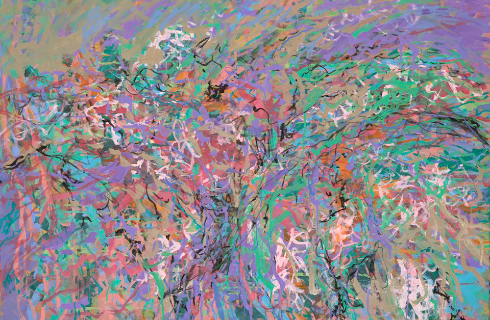  Betsy Snodgrass Spread near Tombstone, AZ #7 is an original oil on canvas painting measuring 24 × 36 inches, completed in 2018 by American Expressionist Landscape painter Bud Holman.