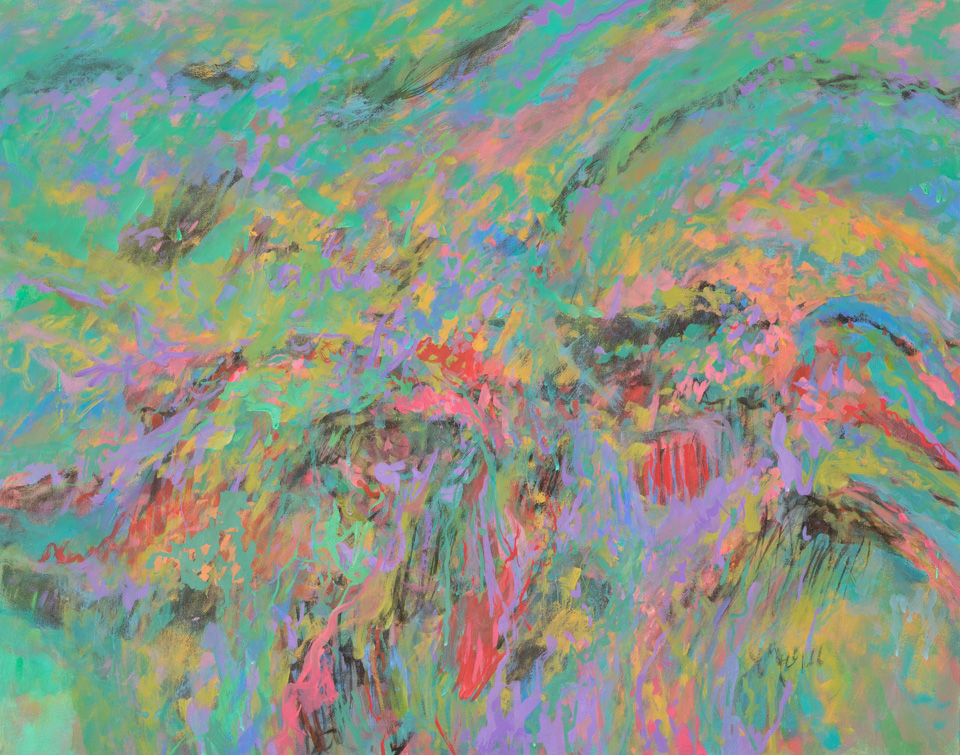 Burrito Canyon Landscape #5