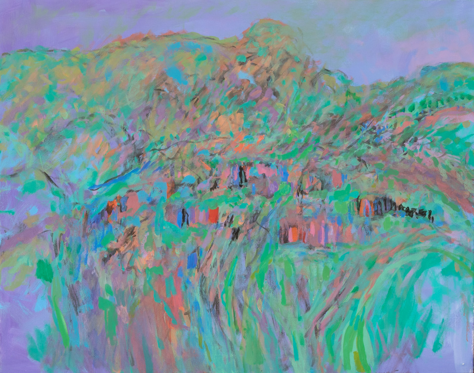 Paradise Valley #7