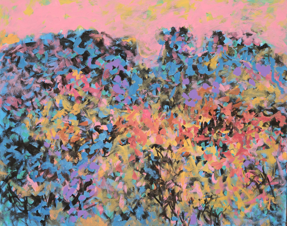 Chuparosa Landscape