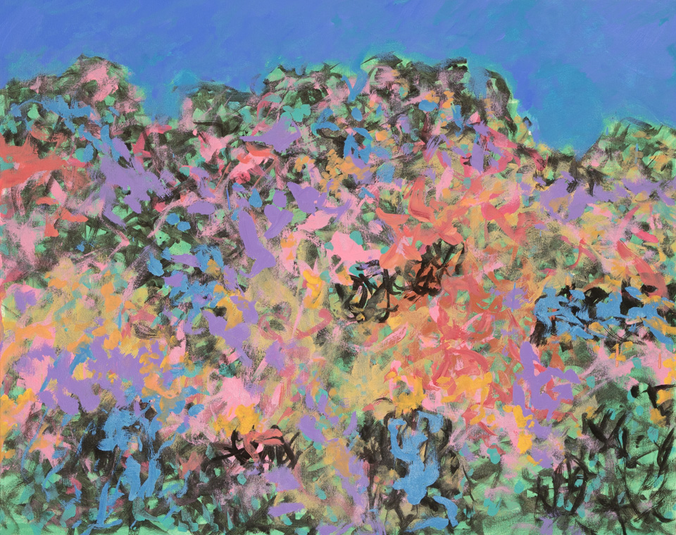 Chuparosa Landscape #2