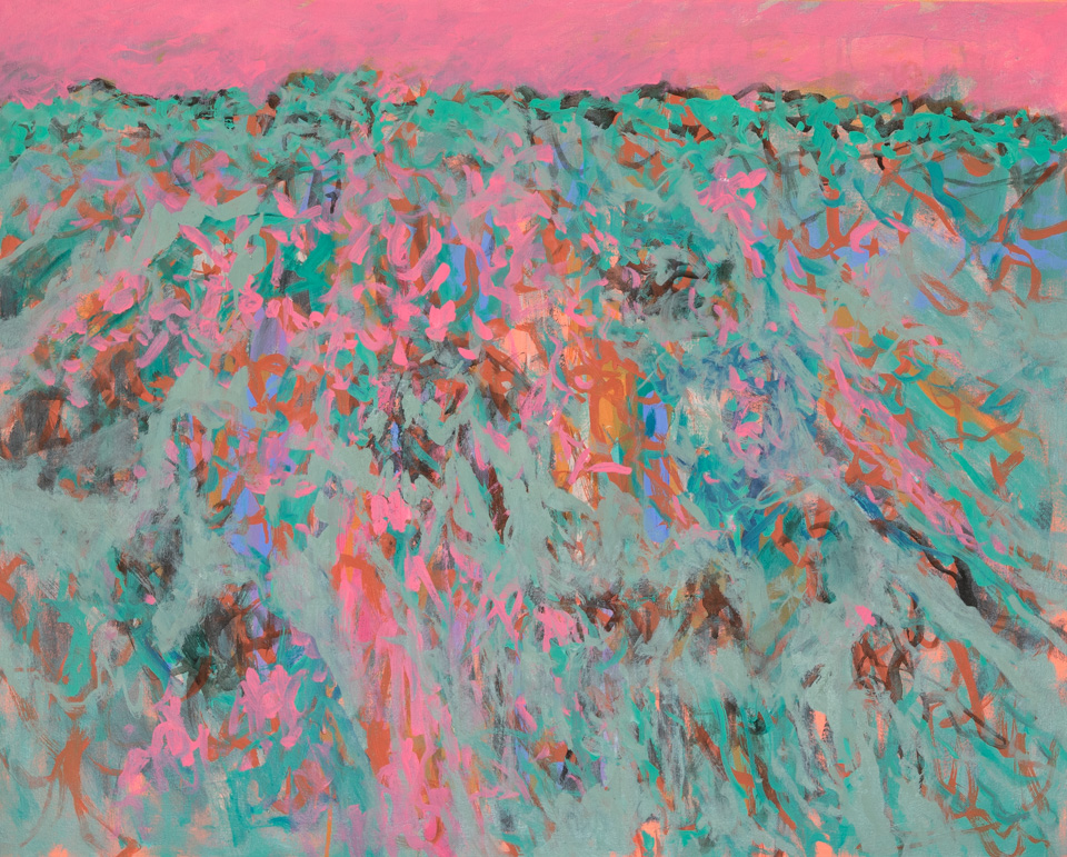 Chuparosa Landscape #3