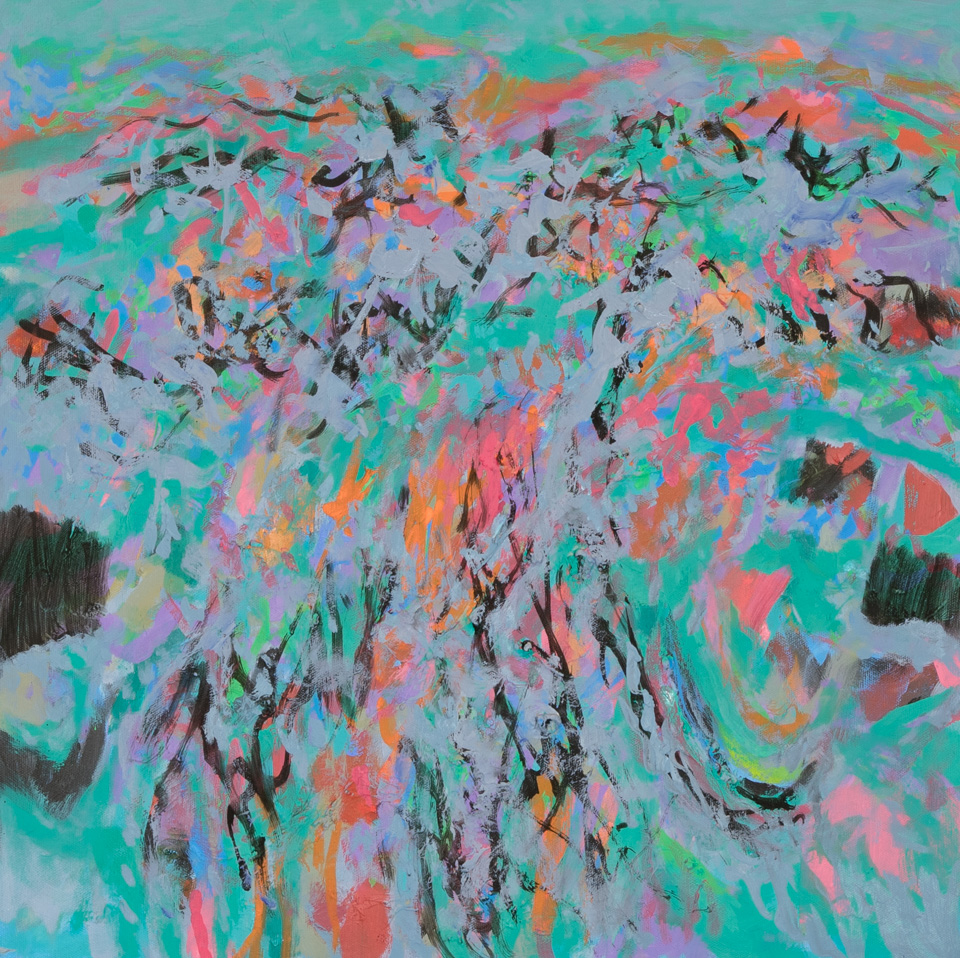 High Sonoran Desert Landscape 