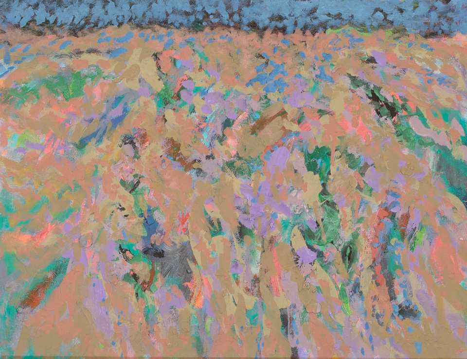 Nogales #11