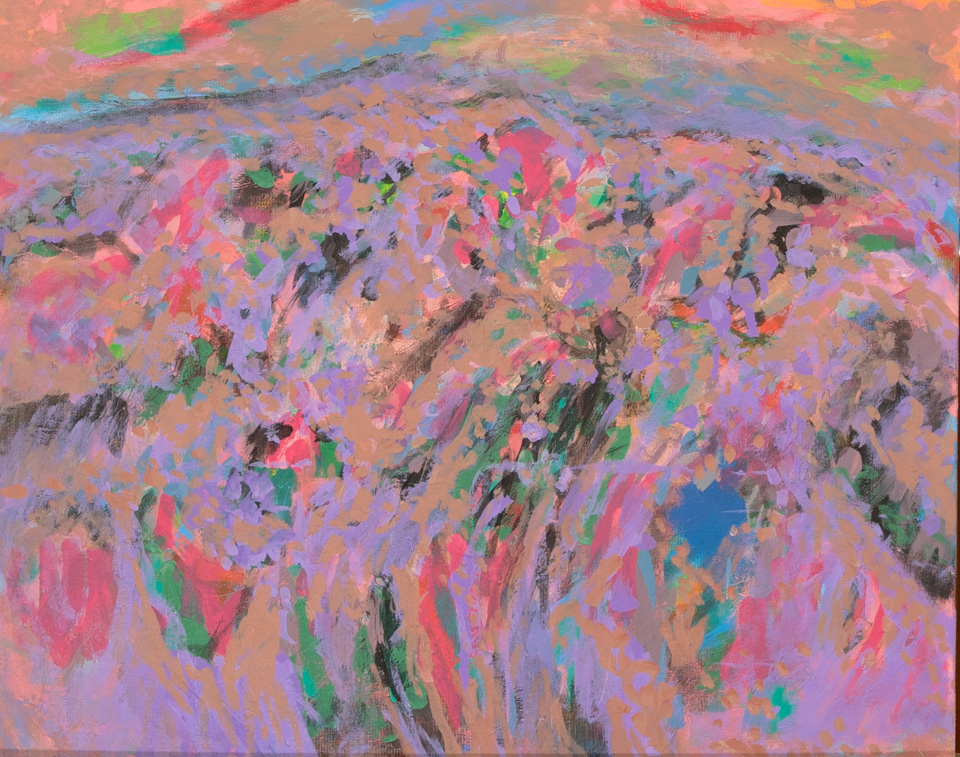 Nogales #147